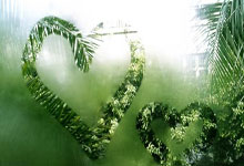 开云下载-世界网球队血洗澳大利亚网球盛宴,瓦林卡三分雨点燃全场热情