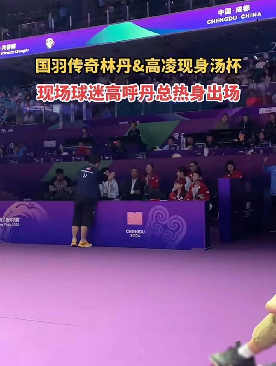 关于韩国羽毛球队完胜中国羽毛球队,陶菲克送出助攻的信息 关于韩国羽毛球队完胜中国羽毛球队,陶菲克送出助攻的信息